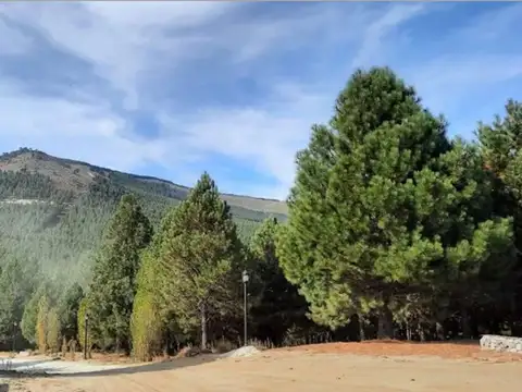 Terreno en Venta en Villa Pehuenia, USD 39.000