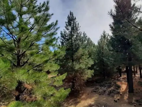 Terreno en Venta en Villa Pehuenia, USD 39.000