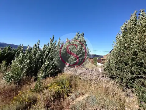 Cordillera del viento 100