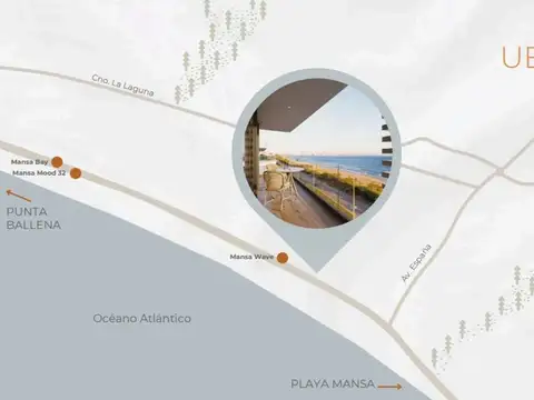 Rambla Doctor Claudio Williman 100