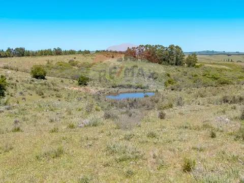 Chacra en venta entre R 39 y 12 - Oportunidad 