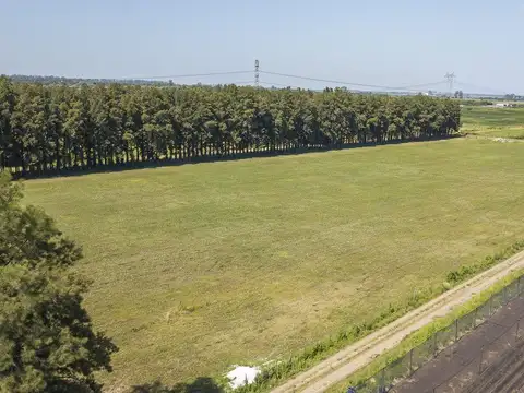 Campo en Perez cerca de la Ciudad Industria 3 Has