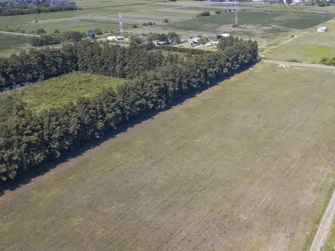 Campo en Perez cerca de la Ciudad Industria 3 Has
