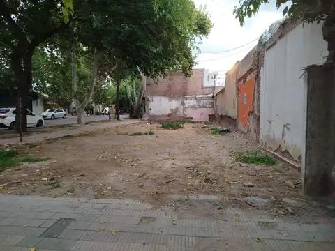Lote en Venta - Cuarta Sección - Calle Gobernador González