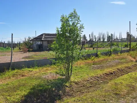 Quintas de Pueyrredón