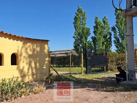 Quintas de Pueyrredón