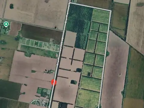 Campo 220 has con mejoras
