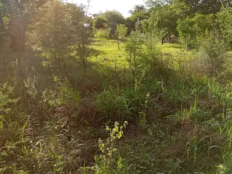 Terreno en Venta 50  mts Frente