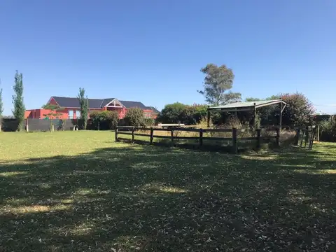 España y rene favaloro 1