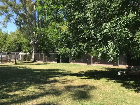 Terreno en Venta de 3500,0 m2