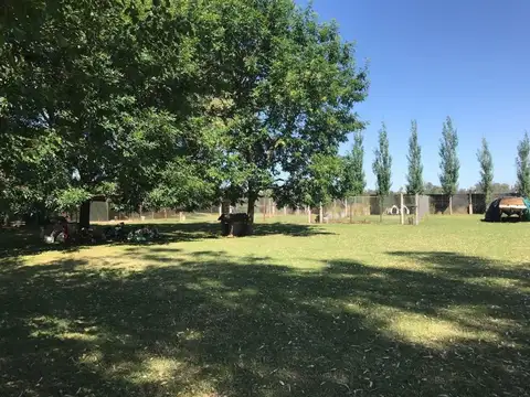 España y rene favaloro 1