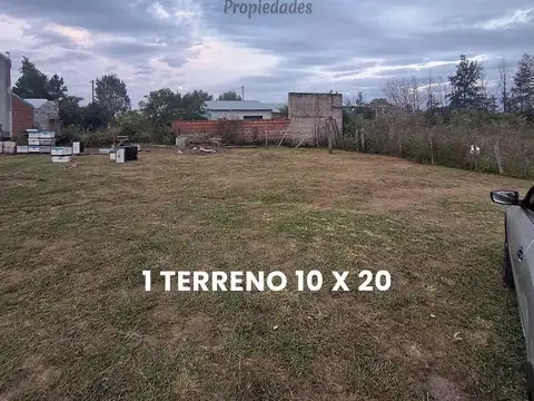 Colonia Ayui