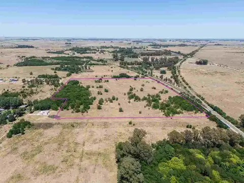 CHACRA DE 1 HECTAREA EN VENTA EN CAÑUELAS