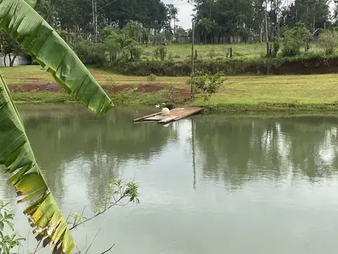 VENDO IMPRESIONANTE GRANJA PESQUE Y PAGUE EN POSADAS MNES
