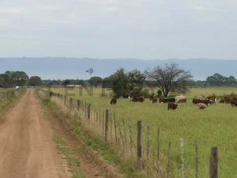 Campo en Venta de 0,14  ha