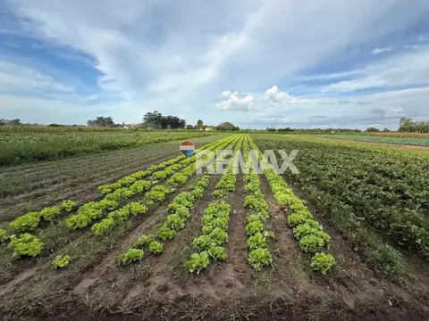 VENTA 6 HAS EN RECREO - IDEAL INVERSIÓN CON RENTA