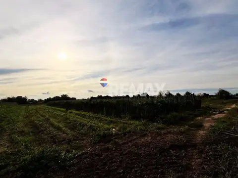 VENTA 6 HAS EN RECREO - IDEAL INVERSIÓN CON RENTA