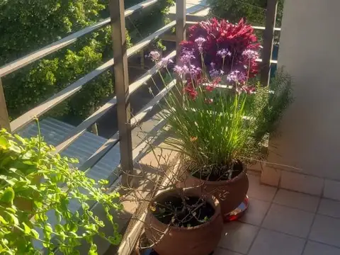 Departamento en Venta Permite mascota