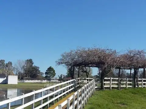 Chacra en venta - 5 Dormitorios 7 Baños - 60.000Mts2 - General Rodríguez