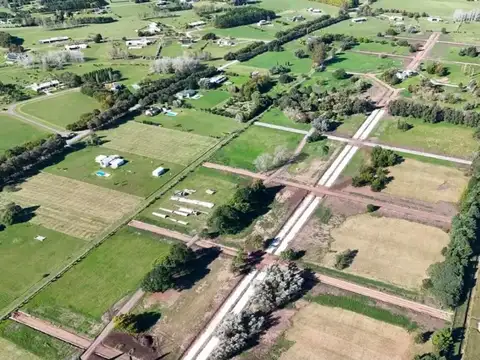 La Amelia