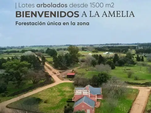 Terreno en Venta en La Macarena, USD 33.000