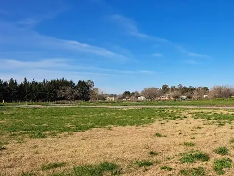 Terreno en Venta 38  mts Fondo