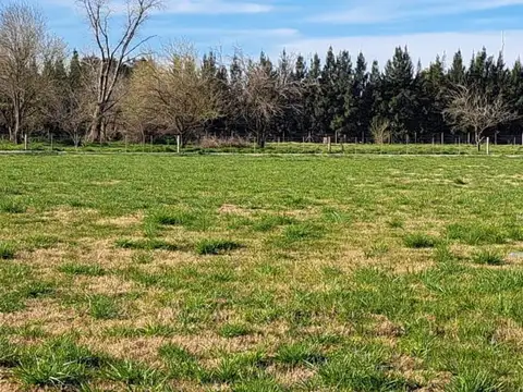 Terreno en Venta 20  mts Frente