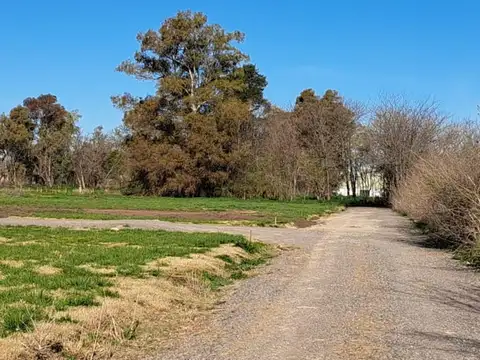Perú ( Loteo El Molino)