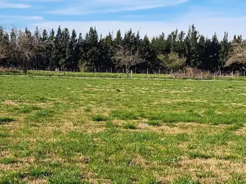 Loteo - Terrenos en venta - Cañuelas - "El Molino"