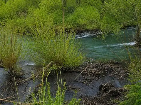 Terreno en venta en Quilquihue con costa de rio a 20 min del centro de  San Martin de los Andes