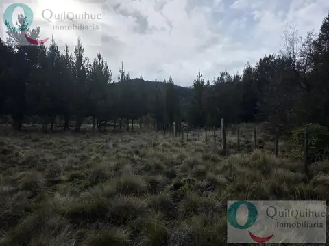Terreno en Venta de 1371,0 m2