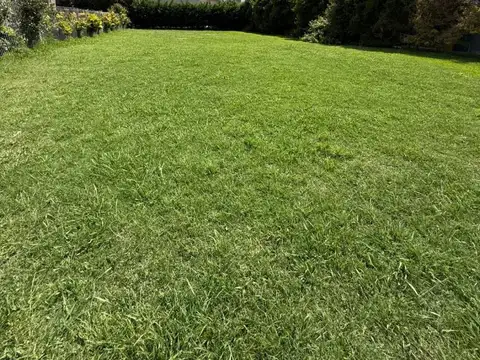 Terreno - Venta - Argentina, Berazategui - 151 3600