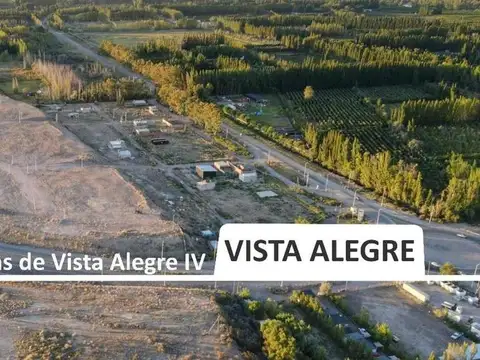 VENTA TERRENO FINCAS IV 400 M2 EN ESQUINA V ALEGRE