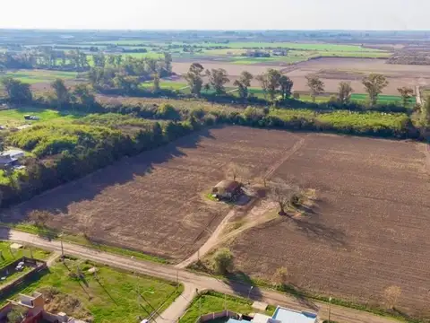 Terreno en Venta de 350,0 m2