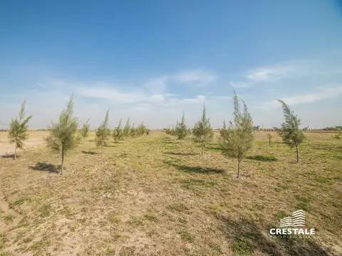 Campo - Haras de Funes