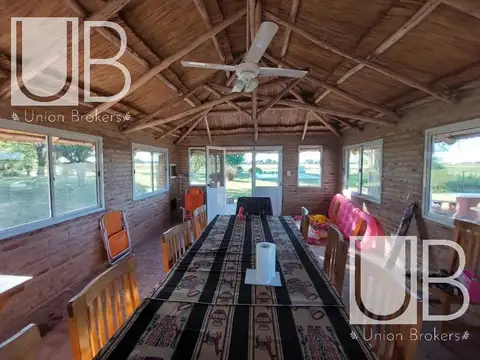 Hermosa Chacra Agrícola + Galpón+ Casa+ Quincho 