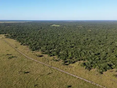 CAMPO GANADERO 500HA - NORTE DE SANTA FE
