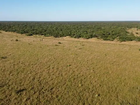 CAMPO GANADERO 500HA - NORTE DE SANTA FE
