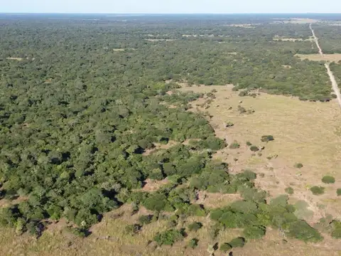 CAMPO GANADERO 500HA - NORTE DE SANTA FE