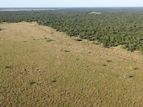 CAMPO GANADERO 500HA - NORTE DE SANTA FE