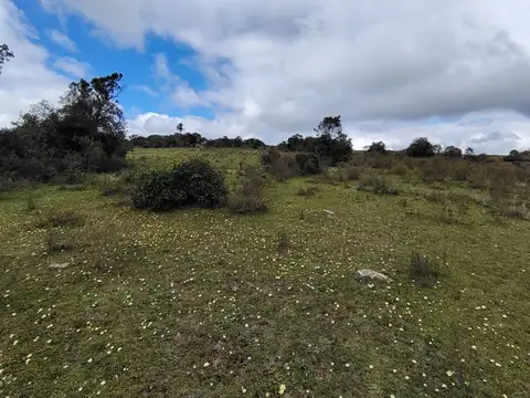 Ruta 12