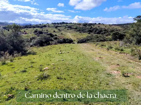 Chacra en Venta entre Ruta 12 y Ruta 60