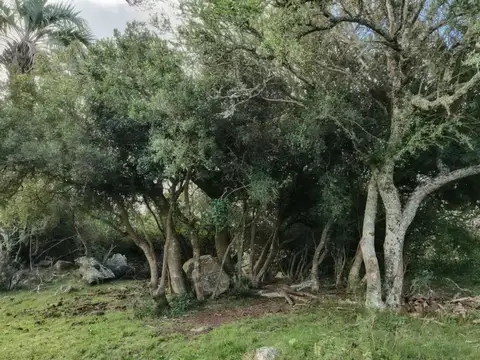 Ruta 12