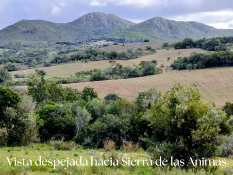 Ruta 12