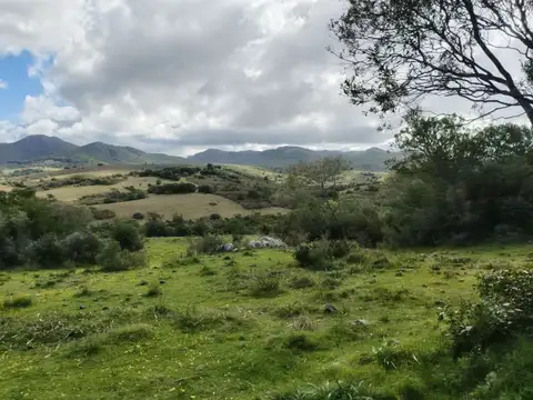 Chacra en Venta entre Ruta 12 y Ruta 60
