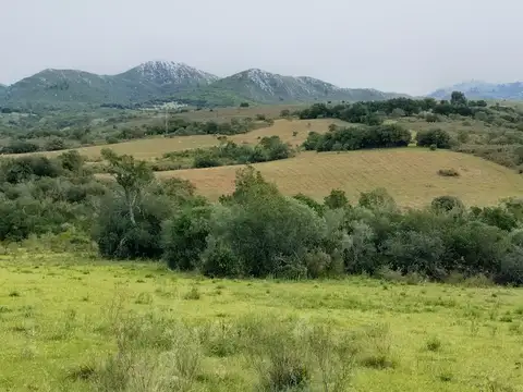 Ruta 12