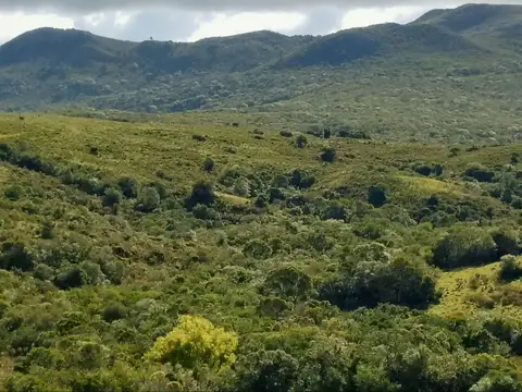 Chacra en Venta entre Ruta 12 y Ruta 60