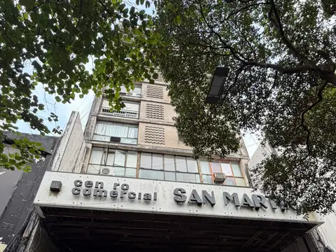 San Martin al 800