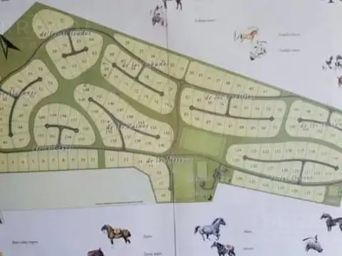 Terreno en Venta 100  mts Frente