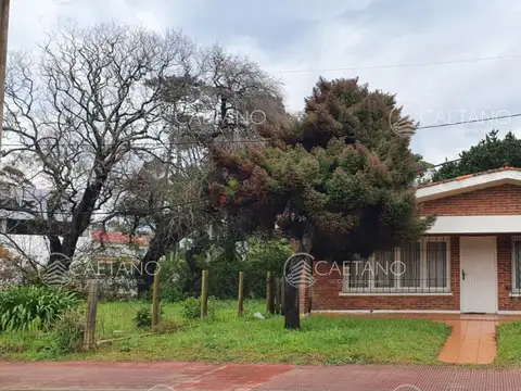 Punta del Este, área comercial Pda. 5